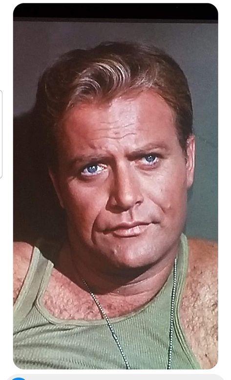 Vic Morrow, Great Life, Hollywood Stars, American Actors, Hollywood, Actors, Hollywood Star