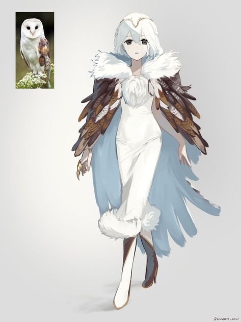 Owl Girl, Bird Girl, Character Design Girl, Characters Inspiration Drawing, Dnd Art, Art Practice, Girls Characters, 영감을 주는 캐릭터, Character Design References