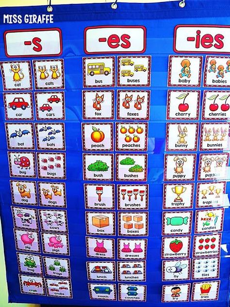 s es ies sorting words activity for teaching Singular and Plural Nouns - a lot of pictures and ideas on this page! Plural E Singular, Noun Chart, Plural Nouns Activities, Singular And Plural Words, Plurals Worksheets, Plural Words, Teaching Letter Sounds, Nouns Activities, Singular And Plural Nouns