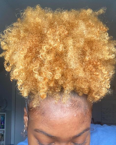 High Puff, Blonde Natural Hair, Girl Hair Colors, Disney High, Dyed Hair Inspiration, Dyed Natural Hair, Honey Blonde Hair, Curly Hair Styles Easy, Natural Curls Hairstyles