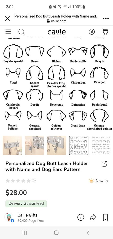 Great Dane Ears Tattoo, Catahoula Tattoo, Cavapoo Tattoo, Great Dane Tattoo, Bichon Dog, Boykin Spaniel, Dog Suit, Border Collie Dog, Dog Ear