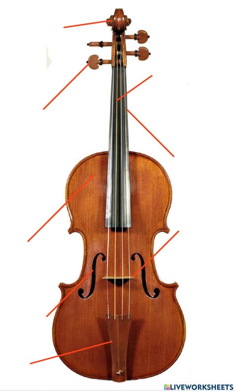 Actividad online de Violín para Grado 1. Puedes hacer los ejercicios online o descargar la ficha como pdf. Violin Bridge Template, Parts Of The Violin Worksheet, Violin Practice Chart, Violin Parts, Violin Sheet, Violin, Music Instruments