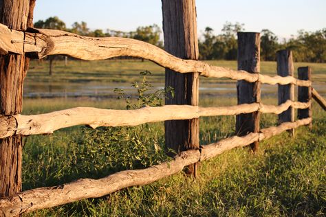 Fence Made From Tree Limbs, Log Fence Ideas Diy, Natural Wood Fence, Old Wood Fence, Old Wooden Fence, Como Plantar Pitaya, Log Fence, Diy Backyard Fence, Wood Fence Design