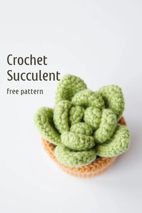 Crochet Aloe Vera Pattern - Hookok Succulent Pattern, Crochet Succulent, Cactus Craft, Crochet Cactus, Crochet Plant, Crochet Design Pattern, Crochet Amigurumi Free, Crochet Decoration, Fun Crochet Projects