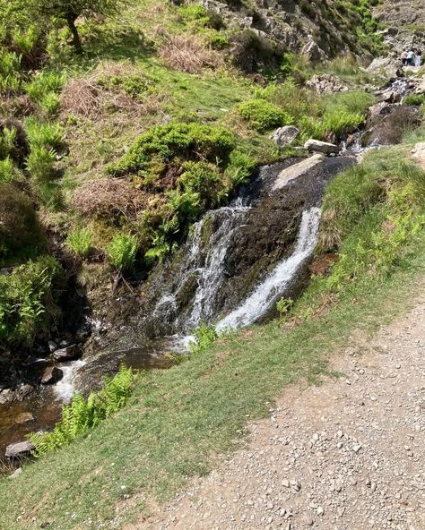 carding mill valley!! pictures casually stolen from @juno.wj @sophei_k1 @saphicle @/christabette ‼️ last slide is @/hamithy!! sis vs bro merch fr 🎀 Valley Pictures, Sis Vs Bro, Mill Valley, May 20, Juno, On Instagram, Instagram