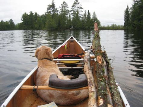 A canoe, a Golden and a quiet lake ... what more could you ask for? Camping Toilet Diy, Canoe Camping, Camping Toilet, Fall Camping, Canoe Trip, Adventure Photos, Good Readers, Canoe And Kayak, Jolie Photo