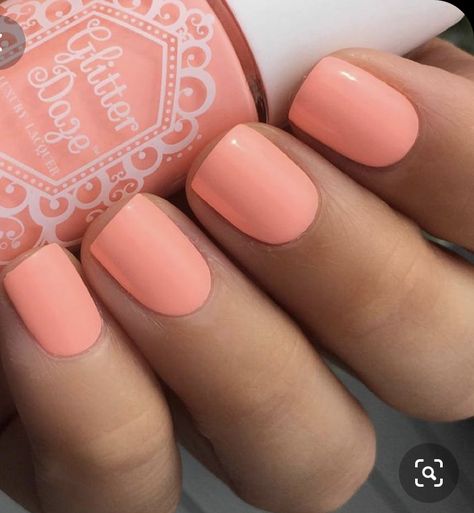 Neon Coral Nails, Peach Colored Nails, Peach Nail Polish, Pretty Nail Colors, Peach Nails, Toe Nail Color, Coral Nails, Gel Nail Colors, Pink Nail