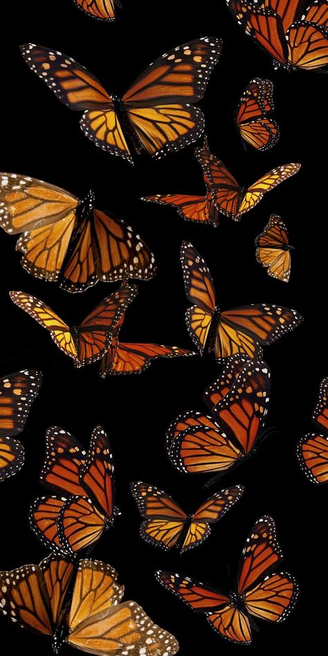 Monarch Wallpaper Iphone, Monarch Butterfly Background, Monarch Butterfly Wallpaper, Monarch Butterfly Aesthetic, Orange And Black Butterfly, Black Background Painting, L Wallpaper, Butterfly Background, Monarch Butterflies