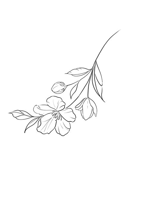 Flower Jasmine Tattoo, Jasmine Flower Sketch, Jasmine Flower Drawing, Jasmine Flower Tattoo, Back Ear Tattoo, Gardenia Tattoo, Jasmine Tattoo, Side Tattoos, Jasmine Flower