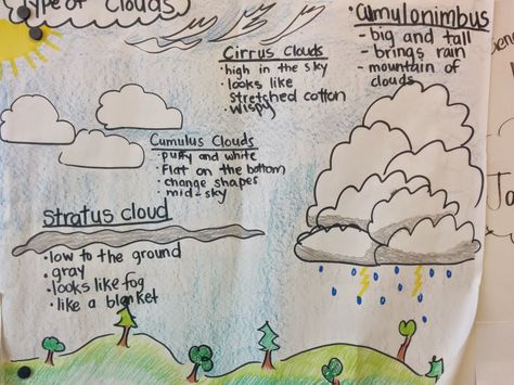 A Clever Apple. Anchor chart for different kinds of clouds. Apple Anchor Chart, Clouds Lesson Plan, Clouds Lesson, Weather For Kids, Kinds Of Clouds, Earth Science Activities, Preschool Weather, Science Anchor Charts, Kindergarten Anchor Charts