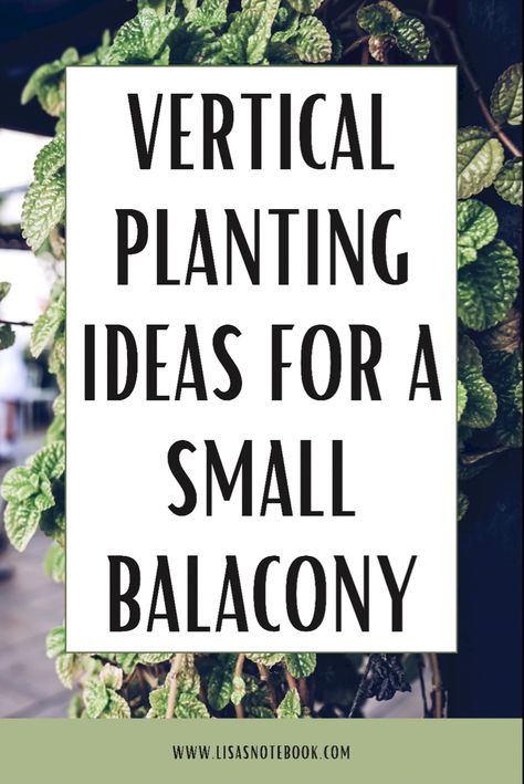 If you live in an apartment, cultivating a small balcony garden can be a very rewarding and self care activity. Vertical planting is hugely popular in small balcony gardens. Here are some planting inspiration for you to start your own small garden to enjoy. #balconygarden #verticalgardening Vertical Garden Small Balcony, Balcony Gardens Small, Balcony Plant Wall Ideas, Hanging Plants Outdoor Balcony, Balcony Vertical Garden, Balcony Plants Ideas, Balcony Plant Wall, Apartment Garden Balcony, Outdoor Oasis On A Budget