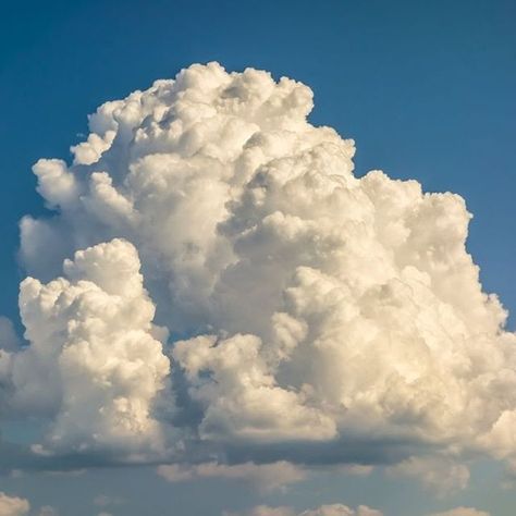 Clouds are heavy! In fact, a medium-sized cumulus cloud weighs about the same as 80 elephants. This is due to all the water they contain (upwards of 500 million grams worth). So why don't they simply fall out of the sky? Well, the weight is spread out into trillions of tiny water droplets over a great distance. Types Of Clouds, Cumulonimbus Cloud, Cumulus Clouds, Cloud Photos, Clouds Photography, Thunder And Lightning, Grey Clouds, The Blue Sky, Weather Report