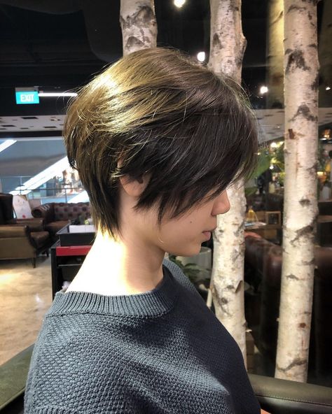 ผมทรง Long Pixie, Tomboy Haircut, Black Pixie, Peinados Hair Styles, Korean Haircut, Short Hair Tomboy, Geometric Hair Clip, Hair Services, Korean Short Hair