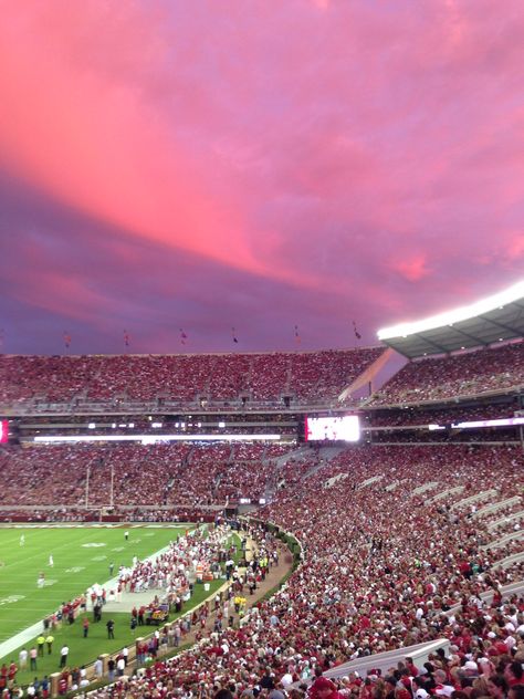 Beautiful sunset over Bryant-Denny Stadium? Bryant Denny Stadium, Tennessee College, Alabama Wallpaper, College Vision Board, Alabama Football Roll Tide, Alabama Crimson Tide Football, College Sorority, Crimson Tide Football, Alabama Roll Tide