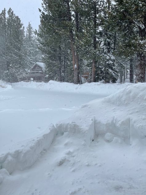 Nature, snow, trees, cabin California Snow, Mammoth California, Snow Fall, Mammoth Lakes, Lake, California, Quick Saves