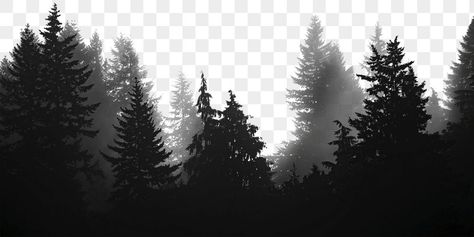 Dark Forest Background, Fog Png, Forest Border, Forest Texture, Black And White Forest, Border Transparent, Wood Png, Png Border, Background Forest