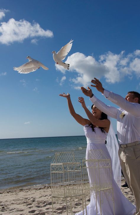 Two white doves from Doves by Day  being released on a Melbourne beach Dove Release, White Pigeon, Early Spring Wedding, Wedding Doves, Melbourne Beach, Dove Bird, White Doves, Pigeon, Something Blue