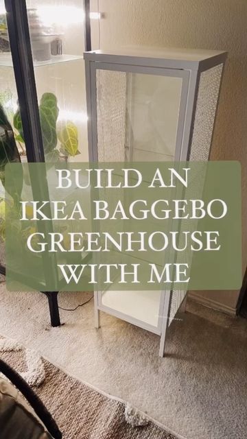 🍃🪴 LAZY IKEA GREENHOUSE FOR YA 🪴🍃 ... Baggebo edition. I seriously can't wait to buy more plants and fill this bad boi!!!! What plants should I buy? PS: Add a fan and your cabinet will pretty much be good to go. If you're lazy like me, air it out daily and poke holes in the soil to make sure they get that airflow going. Ikea Greenhouse Cabinet Vegetables, Plant Ikea Cabinet, Ikea Hack Greenhouse, Ikea Cabinet For Plants, Diy Ikea Plant Cabinet, Indoor Plant Enclosure, Ikea Plant Hack, Ikea Cabinet Plants, Ikea Cabinet Terrarium