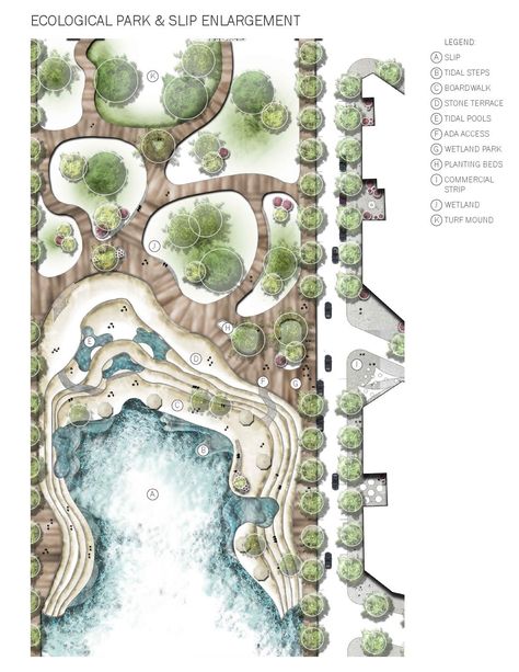 Portfolio D'architecture, Ideas Negocios, Arch Drawing, Landscape Architecture Portfolio, Landscape Planning, Landscape Architecture Plan, Landscape And Urbanism Architecture, Landscape Design Drawings, مركز ثقافي