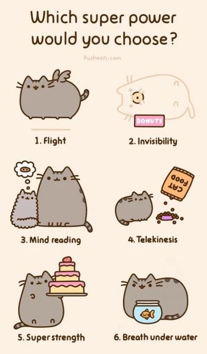 Your Guide to Everything PUSHEEN! - Super Powers - Wattpad Kawaii Pusheen, Pusheen Love, Katt Grejer, Pusheen Cute, Söt Katt, Pusheen Cat, Image Chat, Bohol, Kawaii Cat