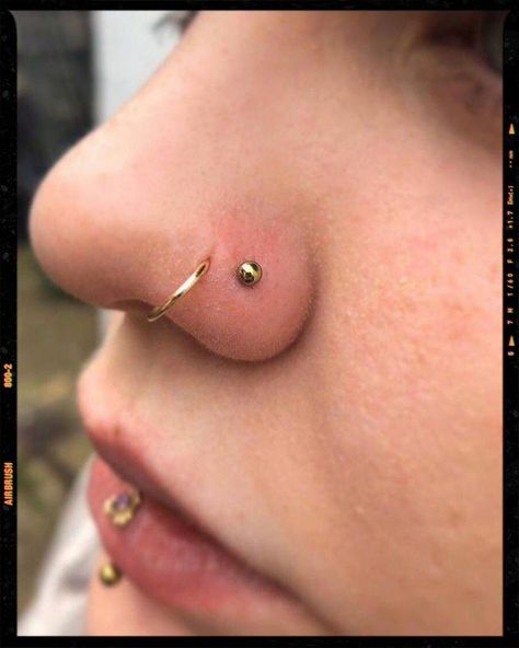 Nose Piercing Combinations, Double Nose Piercing Hoop And Stud, Nose Double Piercing, Double Piercing Nez, Double Nose Piercing Aesthetic, Second Nose Piercing, Double Piercing Nose, Three Nose Piercings, 2 Nose Piercing