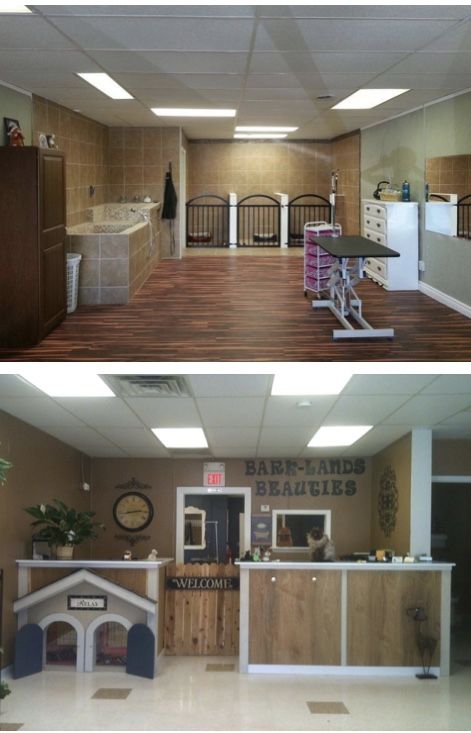 Grooming Salon Floor Plans, Basement Grooming Salon, In Home Dog Boarding Ideas, Dog Grooming Station Ideas, Home Grooming Salon Ideas, Dog Grooming Garage Ideas, Grooming Shop Ideas Interior Design, Garage Grooming Salon, Pet Grooming Salon Ideas Design Spas