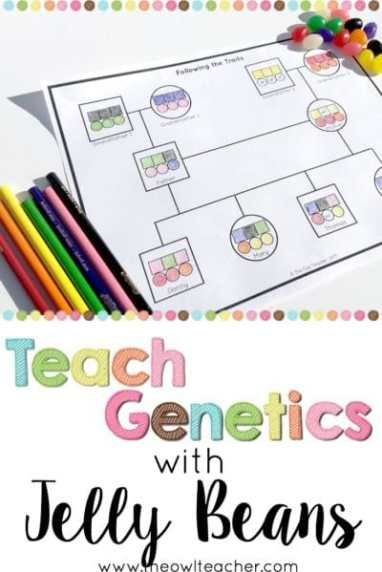 Teach genetics to your students to help them learn about how traits get passed down from parents to their offspring. This fun demonstration that uses jelly beans provides an engaging and concrete way for students to learn this information. Click through to read how to do the experiment and to get a freebie! Genetics Lessons Elementary, Medical Terminology Project Ideas, Genetics For Elementary Students, Non Mendelian Genetics, Inherited Traits Activities, Teaching Biology Activities, Biology Activities High School, Biology High School, Mendelian Genetics