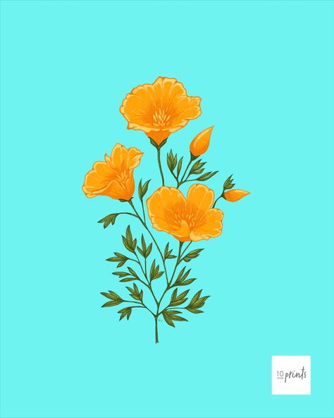 California Poppy Illustration, Poppy Flower Illustration, California State Flower, California Poppy Flower, Poppy Illustration, California Flowers, Poppy Flower Tattoo, Poppy Tattoo, Vibrant Illustration