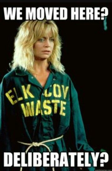 Overboard Goldie Hawn Overboard, Overboard Movie, Wisconsin Winter, Bubble Quotes, Kurt Russell, Favorite Movie Quotes, Movie Moments, Goldie Hawn, Hooray For Hollywood