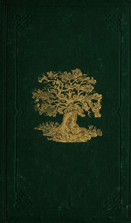 Old Story Book, Teknologi Futuristik, Green Book, Dark Green Aesthetic, Vintage Book Covers, Beautiful Book Covers, Makijaż Smokey Eye, Color Magic, Forest Trees