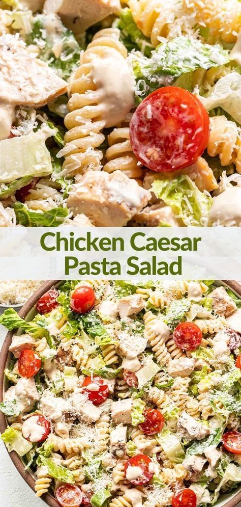 If you love chicken Caesar salad then you'll love this creamy chicken Caesar pasta salad! It's loaded with chicken, romaine lettuce, pasta, tomatoes, Parmesan cheese, and a creamy homemade Caesar dressing. Perfect for summer barbecues, picnics, and potlucks! #pastasalad #saladrecipes #chickencaesarsalad #caesarsalad #healthyrecipes #sidedish #summerrecipes Homemade Caesar Dressing, Chicken Caesar Salad Recipe, Chicken Caesar Pasta, Homemade Caesar, Caesar Pasta Salad, Caesar Pasta, Chicken Caesar Pasta Salad, Caesar Salad Recipe, Chicken Caesar