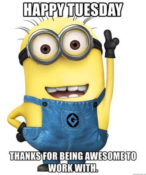 Funny Tuesday, Tuesday Meme, Funny Good Morning Memes, Hello Memes, Inspirational Funny, Minion Banana, Happy Tuesday Quotes, Morning Memes, Tuesday Quotes