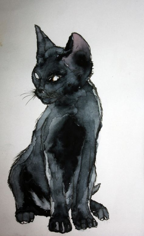 Halloween Kunst, Black Cat Art, A Black Cat, Watercolor Cat, Cats Illustration, Arte Animal, Black Cat Halloween, Drawing Tutorials, Cat Painting