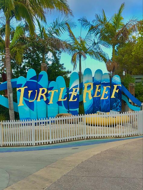 •seaworld san diego’s “turtle reef”• 📸 : emily.ruiz03 Seaworld San Diego Aesthetic, San Diego Aesthetic, Sea World San Diego, Seaworld San Diego, Planet Coaster, Knotts Berry Farm, Berry Farm, Sea World, Trip Ideas