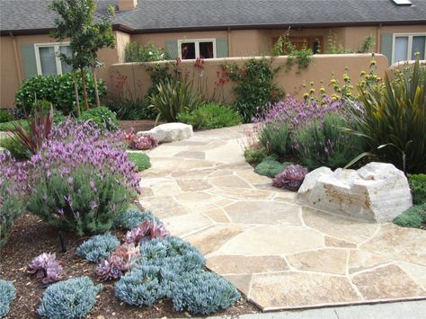 Drifts of Succulents and Lavender Waterwise Landscaping, Yard Flowers, Entry Room, Succulent Landscape Design, Drought Tolerant Landscape, Succulent Landscaping, Garden Fun, Types Of Succulents, Lavender Garden