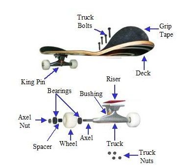 Beginner Skateboard, Skateboard Videos, Skateboarding Tricks, Longboard Design, Skateboard Deck Art, Skateboard Art Design, Skateboard Parts, Skateboard Trucks, Skateboard Photography