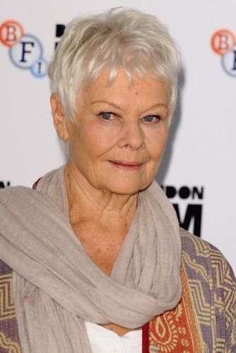 Judy Dench Hair, Judy Dench, Short Silver Hair, Over 60 Hairstyles, American Hairstyles, Judi Dench, Trendy Short Haircuts, Mom Hairstyles, Lost Hair