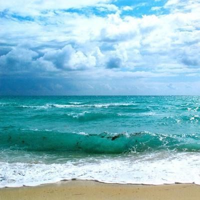 AllPosters.com | The Largest Online Store for Cool Posters, Affordable Wall Art Prints & Framed Canvas Paintings for Sale Art Plage, Beach Pink, Beach Images, Tropical Beaches, Landscape Poster, Beach Landscape, Beach Art, Ocean Beach, Beach Photos