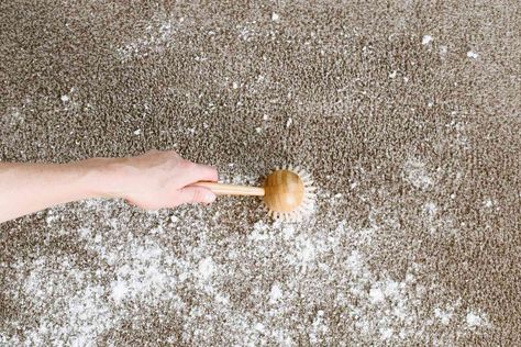 Here's How to Actually Get Your Carpet Clean (and Keep It That Way) How To Clean White Carpet Rugs, How To Wash Rugs At Home, How To Clean Carpet Without Machine, How To Clean Velvet, Stain Removal Chart, Carpet Wash, Clean Living Rooms, Cleaning Area Rugs, Clean Carpet