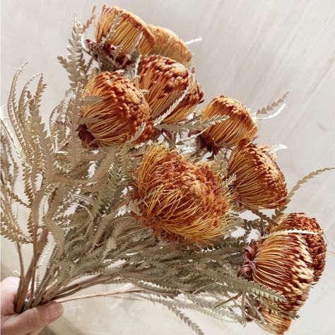 *Price Firm* So Utterly Beautiful! This Lovely Dried Floral Arrangement. Gorgeous Preserved Bundle Of Protea Dried Flowers. These Have Arrived Just In Time For The Season! Each Dried Flower Bouquet Consists Of 5 Beautiful Stems. Add Them To Your Existing Dry Flower Arrangements Or Display Them On Their Own As A Statement Piece. Visually Stunning As A Floral Centerpiece. Pictured Are 10 Stems, You Will Receive 5. 5 Stems Per Bouquet 15” Tall Dried Flowers Are Worth The Investment. They Can Last A Dried Floral Wedding, Dry Flower Arrangements, Dried Protea, Plant Eucalyptus, Rug Wall Art, Drawing Wall Decor, Fire Wedding, Harley Davidson Photos, Dried Floral Arrangements