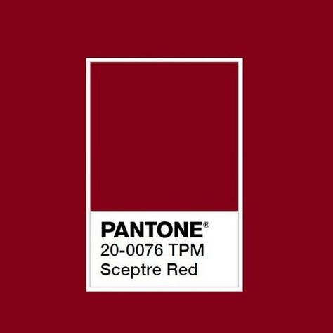 Red Coquette Aesthetic, Red Pantone, Coquette Red, Pantone Red, Red Space, Handmade Aesthetic, Cottagecore Coquette, Light Academia, Ely