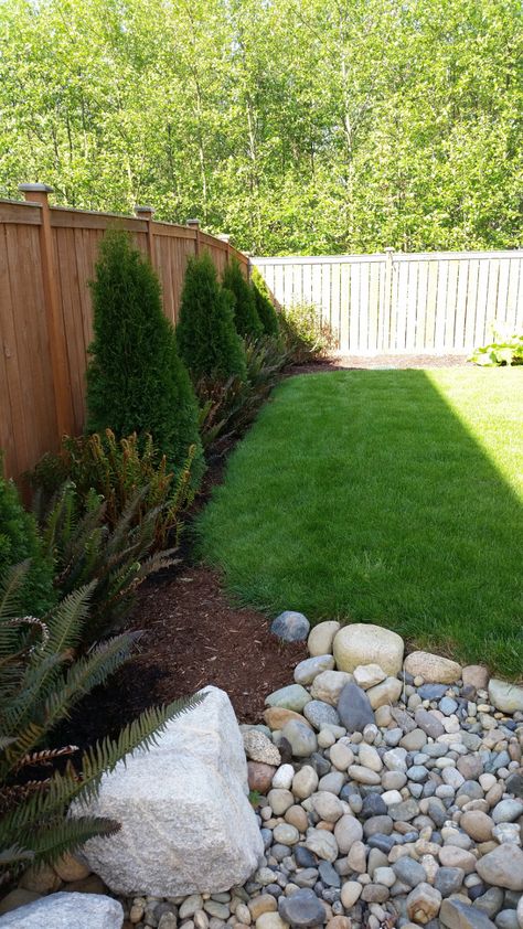 Emerald Green Arborvitaes every 6' down the fence with two sword ferns between each. Arborvitae Along Fence, Emerald Green Arborvitae Landscaping, Arborvitae Landscaping, Hardscape Ideas, Tree Fence, Emerald Green Arborvitae, Inground Pool Landscaping, Cabin Renovation, Landscaping Projects