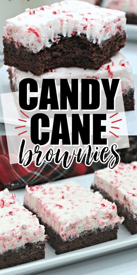 Candy Cane Brownies, Chewy Fudge Brownies, Chewy Fudge, Easy Christmas Dessert, Peppermint Dessert, Peppermint Recipes, Christmas Brownies, Cheesecake Brownie, Peppermint Brownies