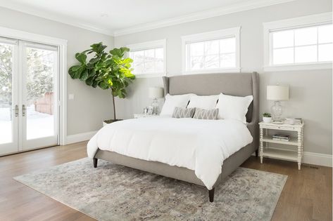 https://www.wayfair.com/shop-the-look/slp/cottage-country-bedroom-design-two-peas---their-pod-photo-id254683 Repose Gray Bedroom, Repose Grey, Country Bedroom Design, Bedroom Paint Colors Master, Guest Bedroom Remodel, Kids Bedroom Remodel, Bedroom Tour, Small Bedroom Remodel, Bedroom Addition