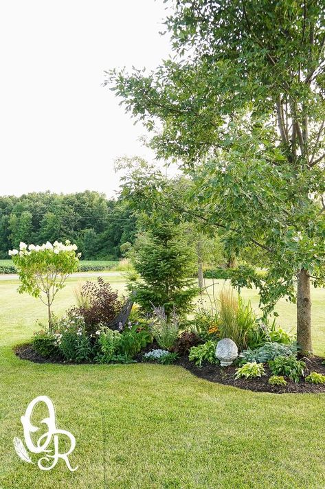 Shed Inspiration, Driveway Border, Garden Front Of House, Landscaping Around Trees, Mailbox Post, Have Inspiration, Garden Yard Ideas, Charming Garden, House Landscape