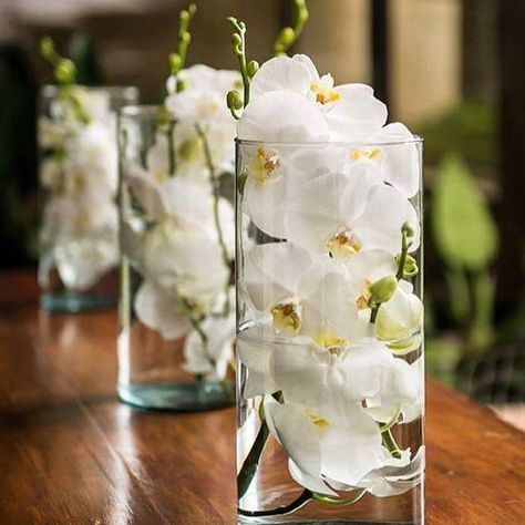 Orchid Wedding Decor, White Orchid Centerpiece, Orchid Wedding Theme, Orchid Centerpieces Wedding, Boho Wedding Colors, Wedding Centerpieces Mason Jars, Hotel Flowers, Orchid Centerpieces, Elegant Wedding Centerpiece