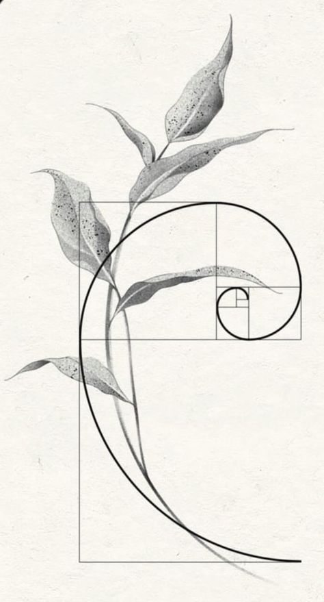 Fibonacci Flower Tattoo, Semi Circle Tattoo, Flower Tattoos Geometric, Fibonacci Tree Tattoo, Spiral Of Life Tattoo, Stones Tattoo, Fibonacci Design, How To Draw Fractals, Golden Ratio Flower