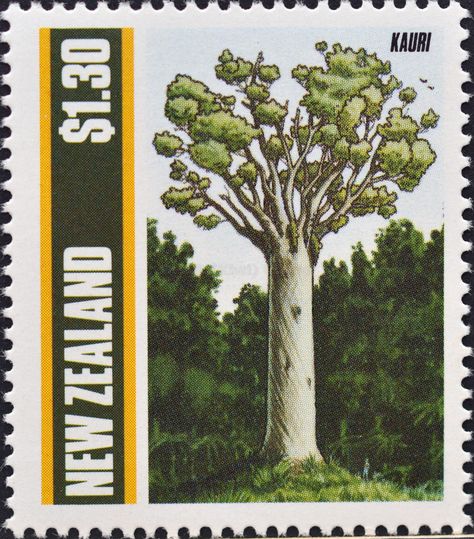 New Zealand Wildlife, Kauri Tree, Plant Tattoo, Tree Stamp, Arbour Day, Wide World, Tree Illustration, Tree Tattoo, Garden Trees