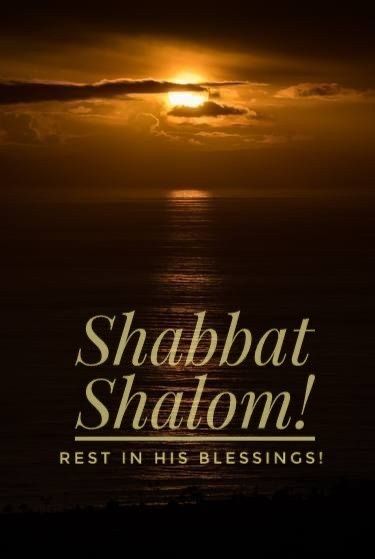 Shalom Shabbat, Sabbath Blessings, Happy Sabbath Quotes, Hanukkah Traditions, Happy Sabbath Images, Jewish Quotes, Sabbath Quotes, Shavua Tov, Shabbat Shalom Images