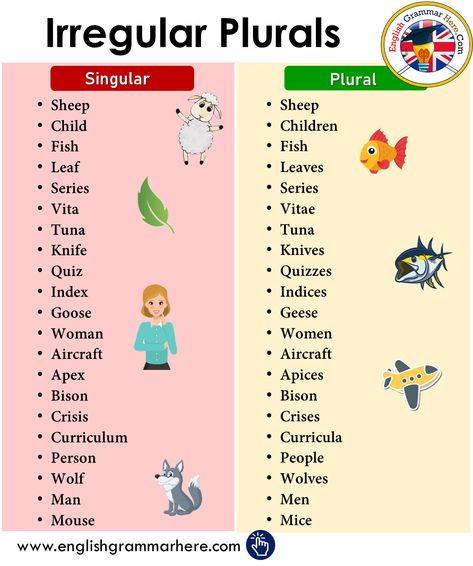 Antonyms Words List, अंग्रेजी व्याकरण, Irregular Plural Nouns, Irregular Plurals, Singular And Plural Nouns, Teaching English Grammar, Singular And Plural, Plural Nouns, English Language Teaching